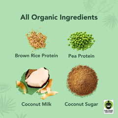 Coconut Protein Drinks - 4-Pack