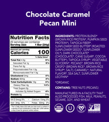 Chocolate Caramel Pecan - Mini Bars