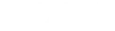 alohasaleus.com